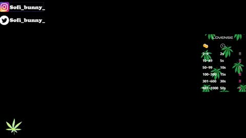 soffi_bunny_ online show from January 8, 2026, 8:05 am