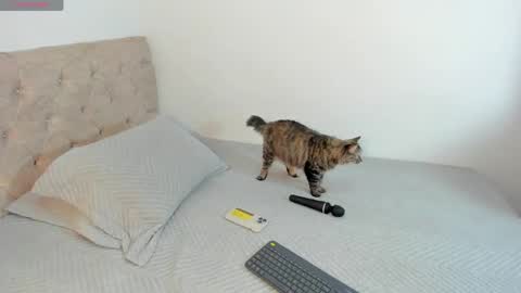 Snapshot of sofi_martinezz1 chatting on April 16, 2026, 5:52 am sofi_martinezz1 online show from April 16, 2026, 5:52 am