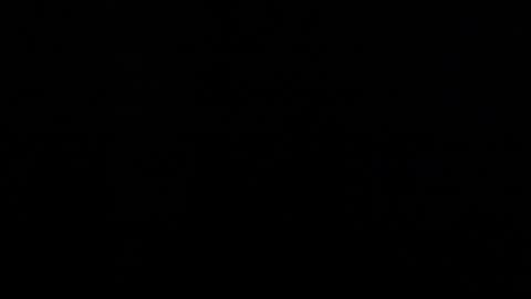 sofii_darling online show from November 13, 2025, 5:34 pm