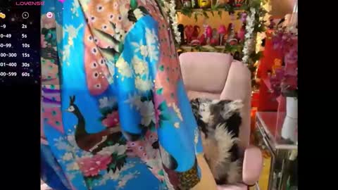 solesticia online show from February 3, 2026, 5:51 pm