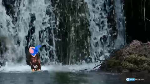 Snapshot of solisii chatting on November 1, 2025, 9:11 am solisii online show from November 1, 2025, 9:11 am