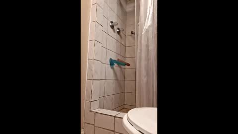 Snapshot of sologirl81 chatting on February 6, 2026, 5:38 pm sologirl81 online show from February 6, 2026, 5:38 pm