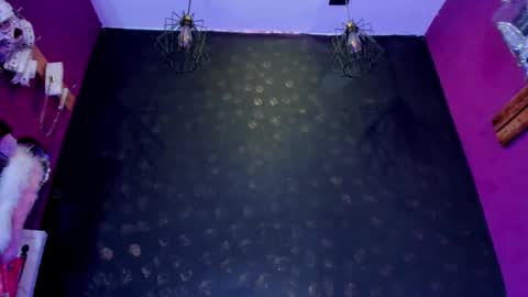 Snapshot of sommer_alexa chatting on February 12, 2026, 7:31 pm Alexa online show from February 12, 2026, 7:31 pm