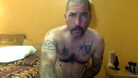 Snapshot of sontoddy chatting on December 19, 2024, 3:51 am Ryan online show from December 19, 2024, 3:51 am