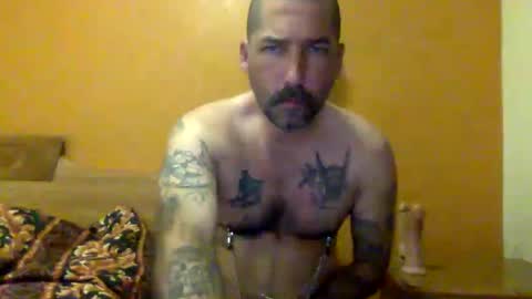 Snapshot of sontoddy chatting on December 19, 2024, 11:07 am Ryan online show from December 19, 2024, 11:07 am