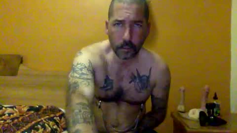 Snapshot of sontoddy chatting on December 20, 2024, 1:47 am Ryan online show from December 20, 2024, 1:47 am