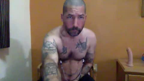 Snapshot of sontoddy chatting on January 24, 2025, 12:31 pm Ryan online show from January 24, 2025, 12:31 pm