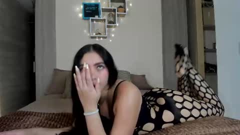 Snapshot of sophiebellucci chatting on July 6, 2026, 2:52 am sophiebellucci online show from July 6, 2026, 2:52 am