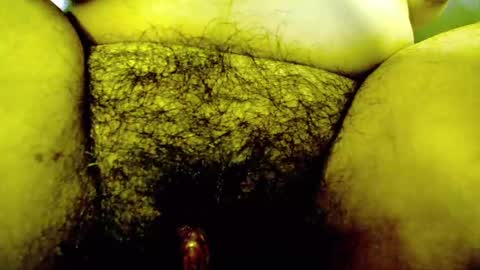 Snapshot of soul_purple chatting on March 7, 2025, 5:49 pm soul online show from March 7, 2025, 5:49 pm