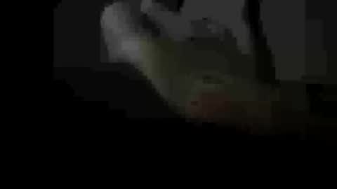 soulsurfer1985 online show from March 11, 2026, 8:42 am