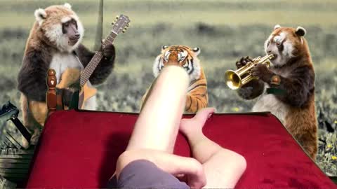 Snapshot of soymigo chatting on February 11, 2026, 5:23 am soymigo online show from February 11, 2026, 5:23 am