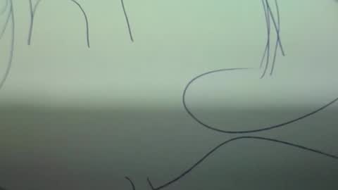 Scottietee online show from March 2, 2026, 5:08 am