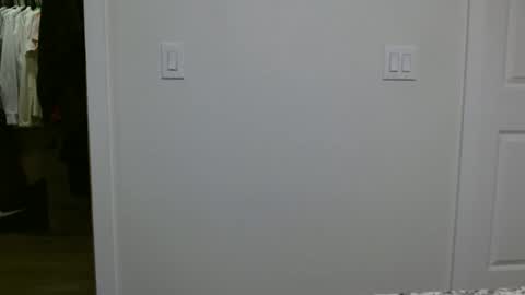 specialiest online show from January 12, 2026, 6:13 pm