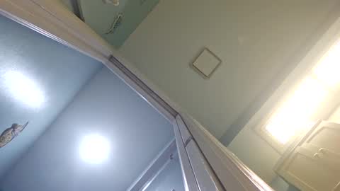 Snapshot of speedforbenji19 chatting on March 11, 2025, 8:30 am speedforbenji19 online show from March 11, 2025, 8:30 am