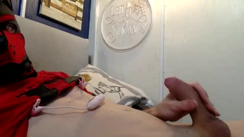 Spidey Pup online show from December 26, 2024, 10:09 pm