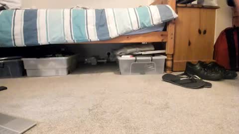 Sportyguy283 online show from January 18, 2026, 9:18 pm