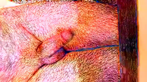 Snapshot of sprayx chatting on February 8, 2026, 11:35 am sprayx online show from February 8, 2026, 11:35 am