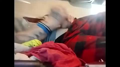 Snapshot of spundaddyandprincess chatting on December 8, 2024, 2:30 pm spundaddyandprincess online show from December 8, 2024, 2:30 pm