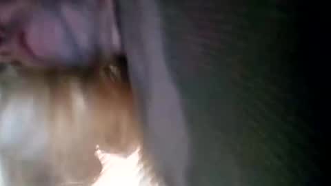 Snapshot of spunslut212 chatting on January 6, 2025, 3:51 pm spunslut212 online show from January 6, 2025, 3:51 pm