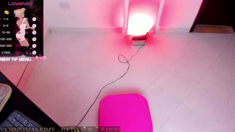 Snapshot of squeersex1 chatting on December 18, 2024, 5:48 am KIMY TEKASHI online show from December 18, 2024, 5:48 am