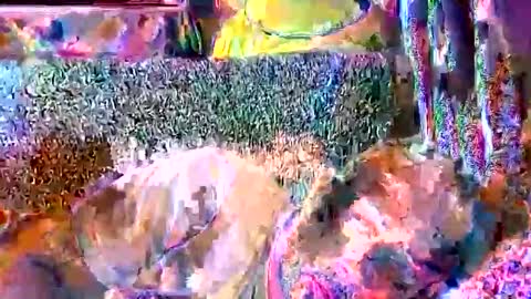 srekos38 online show from April 11, 2026, 8:40 am