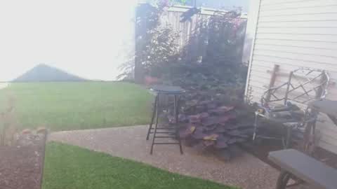 srtxshow online show from September 26, 2025, 2:43 pm