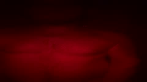 stagnextdoor online show from July 23, 2026, 7:17 am