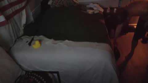 staloney online show from February 15, 2026, 9:52 am