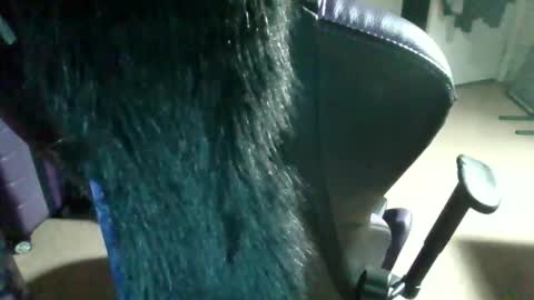 starella___saxxxton online show from April 2, 2026, 4:21 am