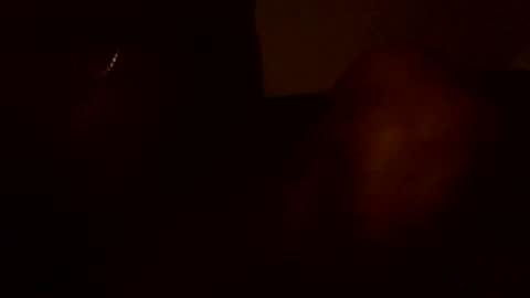 Snapshot of stefy1037 chatting on June 13, 2026, 5:49 am stefy1037 online show from June 13, 2026, 5:49 am