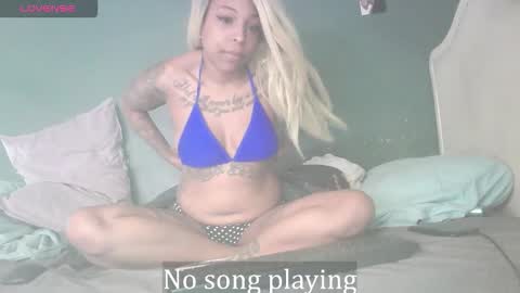 Stella Clitella online show from January 17, 2026, 10:53 am