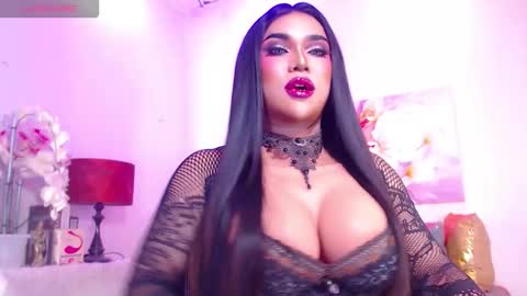 CALL ME STELLA online show from February 3, 2026, 3:04 am