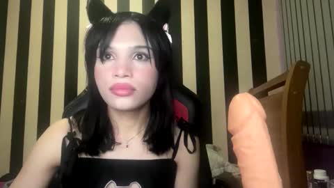 stellapapillon online show from February 10, 2026, 11:31 pm