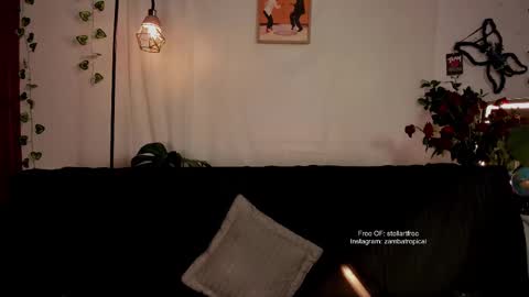 stellart_ online show from February 23, 2025, 2:29 am