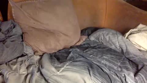 Snapshot of stevemason718 chatting on February 20, 2025, 4:14 pm STEVE CASHMASTER 1comedia online show from February 20, 2025, 4:14 pm