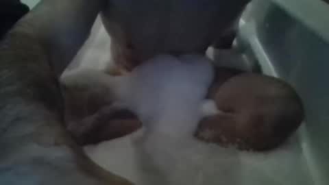 Snapshot of stevenross064 chatting on November 15, 2025, 12:52 am Tiny D online show from November 15, 2025, 12:52 am