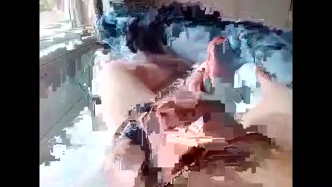 Snapshot of stevie_y19 chatting on February 14, 2025, 9:34 am stevie_y19 online show from February 14, 2025, 9:34 am