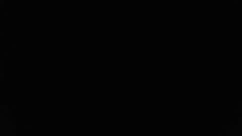 Snapshot of stewpididiot chatting on February 11, 2026, 9:09 pm Stew Pididiot online show from February 11, 2026, 9:09 pm