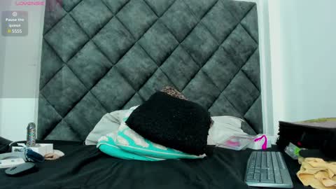 stivenbenet1 online show from December 15, 2024, 10:04 pm