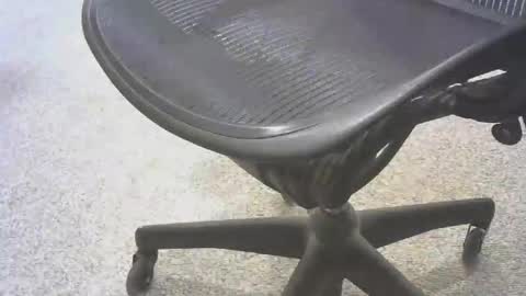 stl hammer online show from November 6, 2025, 8:54 pm