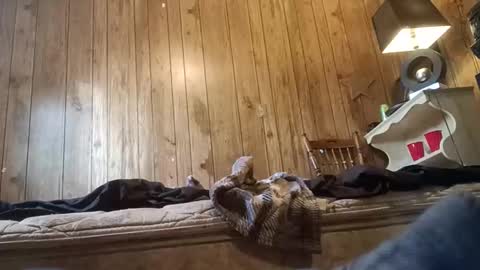 Snapshot of straighttoy chatting on November 3, 2025, 3:24 pm straighttoy online show from November 3, 2025, 3:24 pm