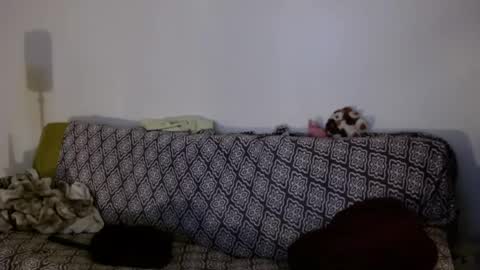 Strawberrylotsacake online show from April 6, 2026, 11:22 am