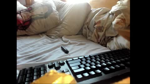 strawboy300 online show from January 17, 2025, 7:38 pm