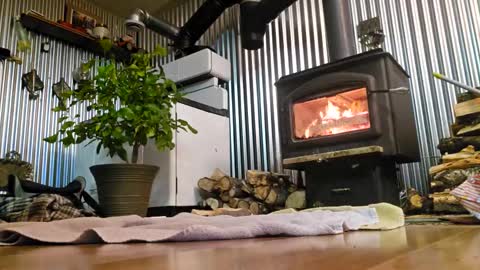 stricktlypleasure online show from January 4, 2025, 7:55 am