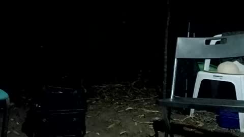 Bigdickdugan online show from February 12, 2025, 1:06 pm