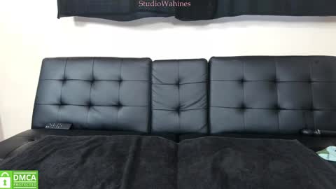 Snapshot of studiowahines chatting on January 29, 2025, 10:11 pm StudioWahines online show from January 29, 2025, 10:11 pm