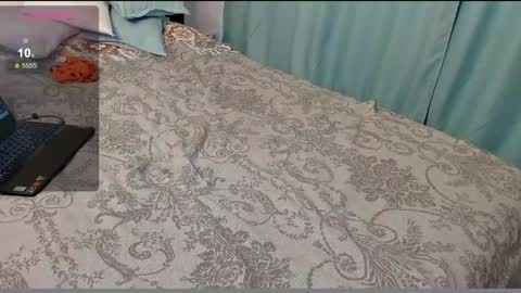 stupid little kitten online show from December 6, 2024, 9:43 am