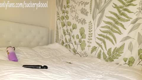 Maya online show from February 1, 2026, 3:05 am