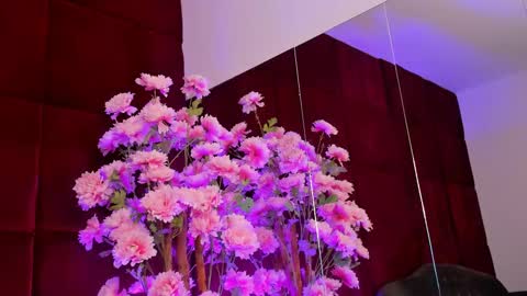 Sugar online show from September 26, 2025, 5:11 am