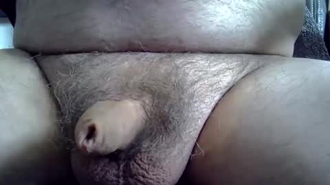 Snapshot of sull670775 chatting on December 13, 2024, 4:11 am sull670775 online show from December 13, 2024, 4:11 am